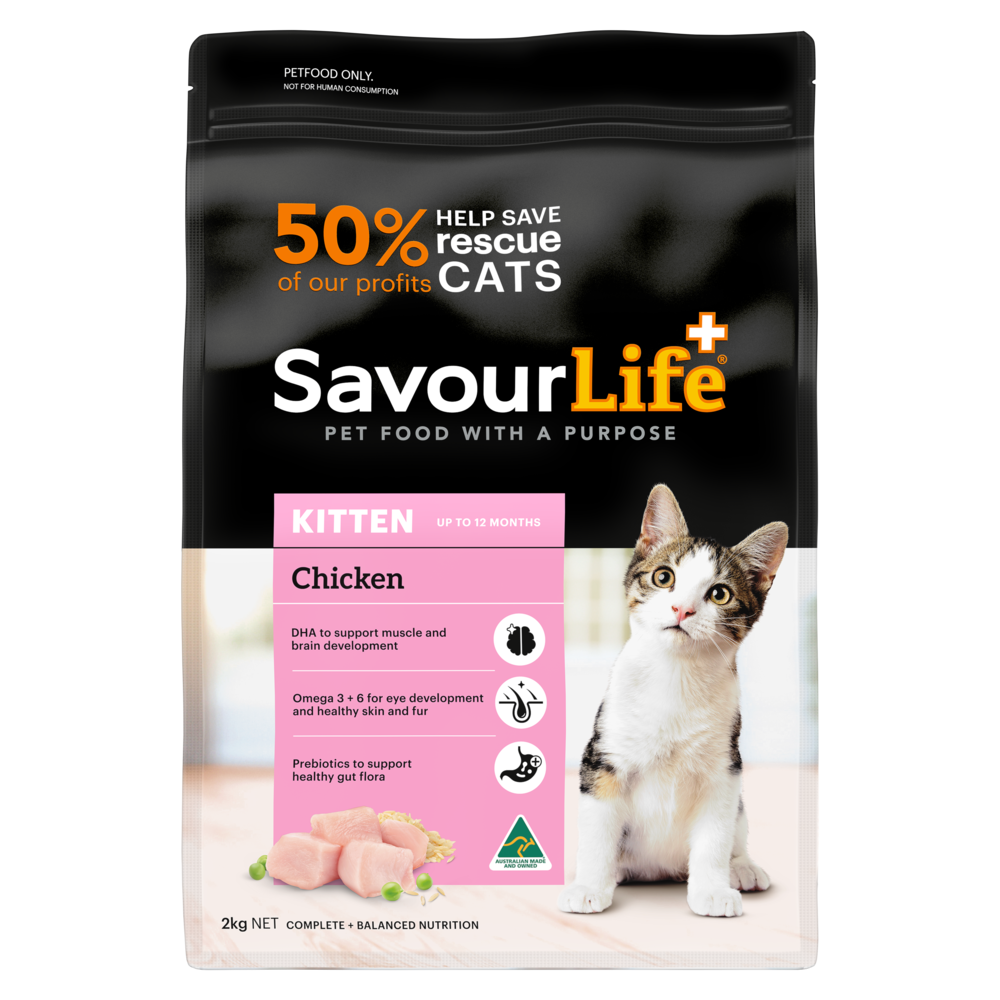 product image of Kitten Chicken